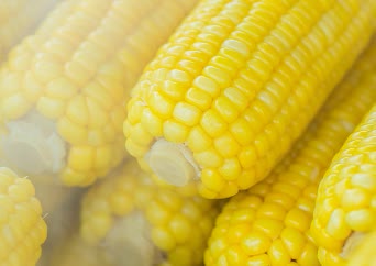 Corn