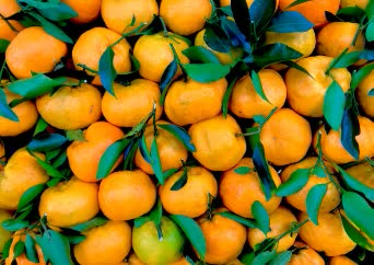 Oranges