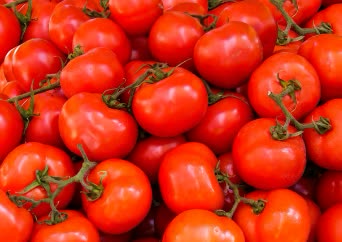 Tomatoes